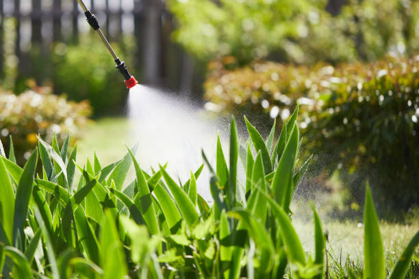 24/7 Emergency Mosquito Control experts in Tiffin, IA